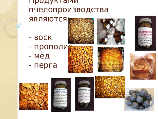 Продуктами пчелопроизводства  являются:    - воск  - прополис  - мёд  - перга   