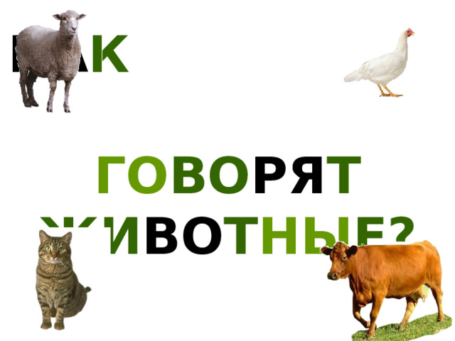 КА К  ГО ВО РЯ Т ЖИ ВО Т НЫ Е? 