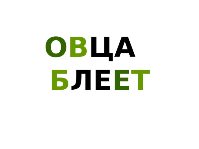 О В ЦА   Б ЛЕ Е Т 
