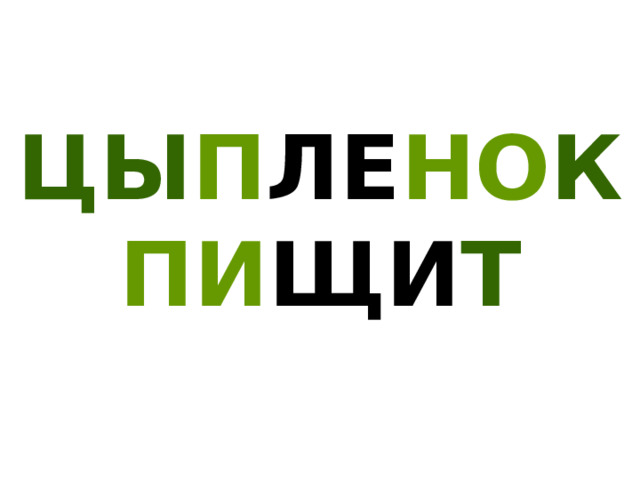 ЦЫ П ЛЕ НО К ПИ ЩИ Т 