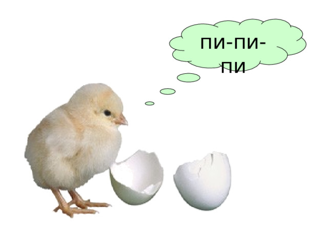 пи-пи-пи 