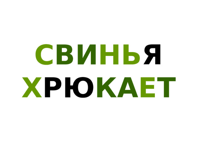 С ВИ НЬ Я Х РЮ КА Е Т 