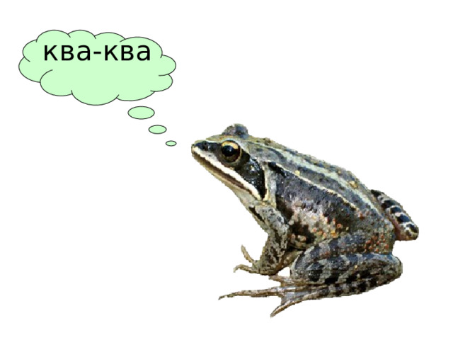 ква-ква 