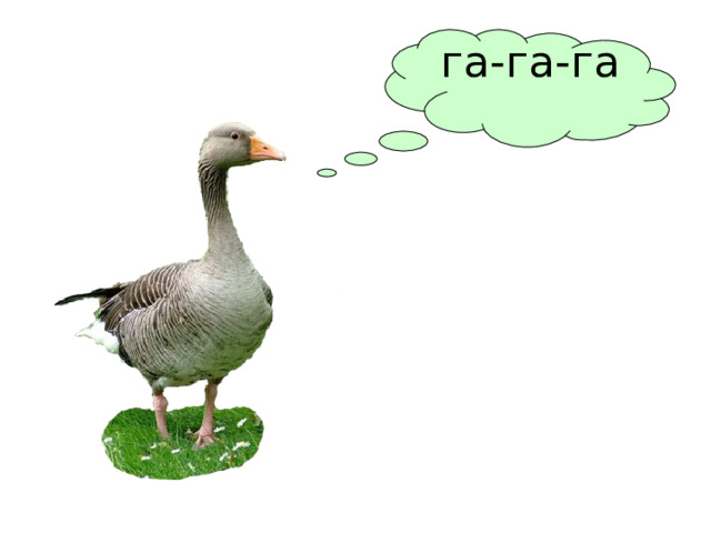 га-га-га 