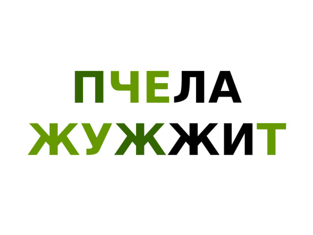 П ЧЕ ЛА  ЖУ Ж ЖИ Т 