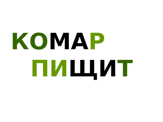 КО МА Р  ПИ ЩИ Т 