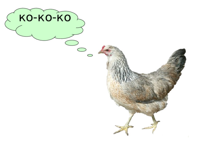 ко-ко-ко 