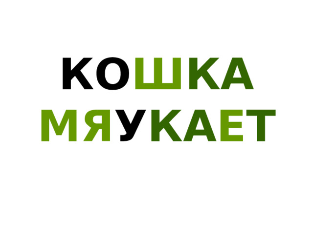 КО Ш КА МЯ У КА Е Т 