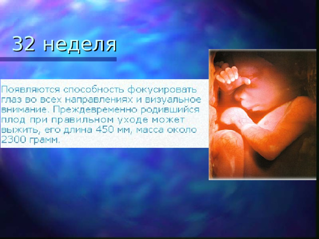 32 неделя 