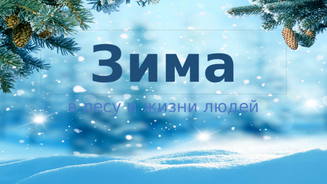 Зима в лесу и жизни людей 