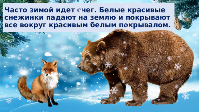 Часто зимой идет снег. Белые красивые снежинки падают на землю и покрывают все вокруг красивым белым покрывалом. 