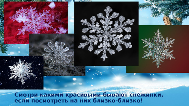 Смотри какими красивыми бывают снежинки, если посмотреть на них близко-близко!   
