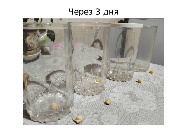 Через 3 дня 
