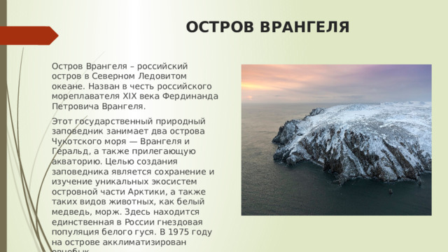ОСТРОВ ВРАНГЕЛЯ Остров Врангеля – российский остров в Северном Ледовитом океане. Назван в честь российского мореплавателя ХIХ века Фердинанда Петровича Врангеля. Этот государственный природный заповедник занимает два острова Чукотского моря — Врангеля и Геральд, а также прилегающую акваторию. Целью создания заповедника является сохранение и изучение уникальных экосистем островной части Арктики, а также таких видов животных, как белый медведь, морж. Здесь находится единственная в России гнездовая популяция белого гуся. В 1975 году на острове акклиматизирован овцебык. 