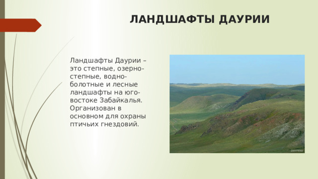ЛАНДШАФТЫ ДАУРИИ Ландшафты Даурии – это степные, озерно-степные, водно-болотные и лесные ландшафты на юго-востоке Забайкалья. Организован в основном для охраны птичьих гнездовий. 