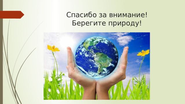 Спасибо за внимание!  Берегите природу! 