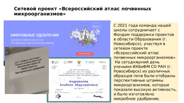 Сетевой проект «Всероссийский атлас почвенных микроорганизмов» С 2021 года команда нашей школы сотрудничает с Фондом поддержки проектов в области Образования (г. Новосибирск), участвуя в сетевом проекте «Всероссийский атлас почвенных микроорганизмов». На сегодняшний день учеными ИХБиФМ СО РАН (г. Новосибирск) из различных образцов почв были отобраны перспективные штаммы микроорганизмов, которые показали высокую активность, и было изготовлено микробное удобрение. 