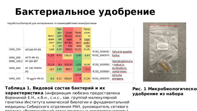 Бактериальное удобрение Таблица 1. Видовой состав бактерий и их характеристика (информация любезно предоставлена Ворониной Е.Н., к.б.н., с.н.с., зав. группой молекулярной генетики Института химической биологии и фундаментальной медицины Сибирского отделения РАН, руководитель сетевого проекта «Всероссийский атлас почвенных микроорганизмов») Рис. 1 Микробиологическое удобрение из набора 
