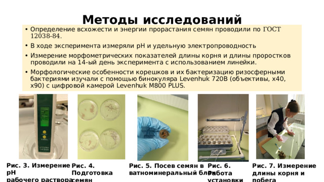 Методы исследований Определение всхожести и энергии прорастания семян проводили по ГОСТ 12038-84 . В ходе эксперимента измеряли рН и удельную электропроводность Измерение морфометрических показателей длины корня и длины проростков проводили на 14-ый день эксперимента с использованием линейки. Морфологические особенности корешков и их бактеризацию ризосферными бактериями изучали с помощью бинокуляра Levenhuk 720B (объективы, х40, x90) с цифровой камерой Levenhuk M800 PLUS. Рис. 3. Измерение рН рабочего раствора Рис. 4. Подготовка семян Рис. 5. Посев семян в ватноминеральный блок Рис. 7. Измерение Рис. 6. Работа длины корня и побега установки 