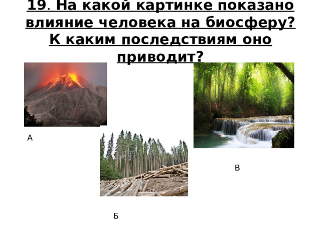 19 . На какой картинке показано влияние человека на биосферу? К каким последствиям оно приводит?   А В Б 