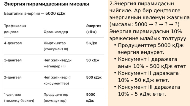 2.Энергия пирамидасын чийгиле. Ар бир деңгээлге энергиянын көлөмүн жазгыла (мисалы: 5000 → ? → ? → ?) Энергия пирамидасын 10% эрежесине ылайык толтуруу Продуценттер 5000 кДж энергия өндүрөт. Консумент I даражага анын 10% – 500 кДж өтөт Консумент II даражага 10% – 50 кДж өтөт. Консумент III даражага 10% – 5 кДж өтөт. Продуценттер 5000 кДж энергия өндүрөт. Консумент I даражага анын 10% – 500 кДж өтөт Консумент II даражага 10% – 50 кДж өтөт. Консумент III даражага 10% – 5 кДж өтөт. 