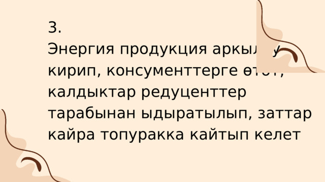 3. Энергия продукция аркылуу кирип, консументтерге өтөт, калдыктар редуценттер тарабынан ыдыратылып, заттар кайра топуракка кайтып келет 