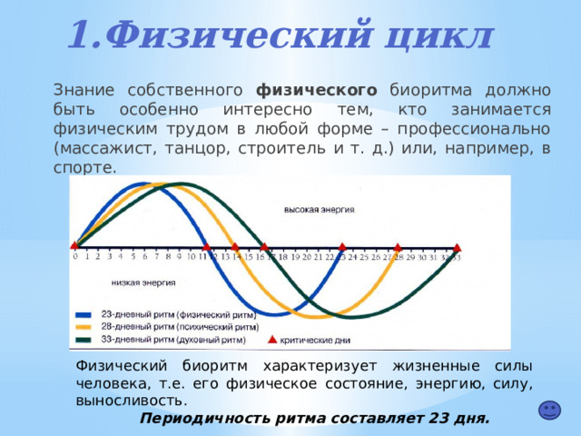 1.Физический цикл  Знание собственного физического биоритма должно быть особенно интересно тем, кто занимается физическим трудом в любой форме – профессионально (массажист, танцор, строитель и т. д.) или, например, в спорте. Физический биоритм характеризует жизненные силы человека, т.е. его физическое состояние, энергию, силу, выносливость. Периодичность ритма составляет 23 дня. 