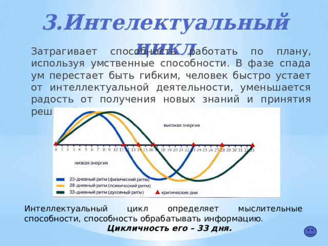 3.Интелектуальный цикл  Затрагивает способность работать по плану, используя умственные способности. В фазе спада ум перестает быть гибким, человек быстро устает от интеллектуальной деятельности, уменьшается радость от получения новых знаний и принятия решений. Интеллектуальный цикл определяет мыслительные способности, способность обрабатывать информацию. Цикличность его – 33 дня. 