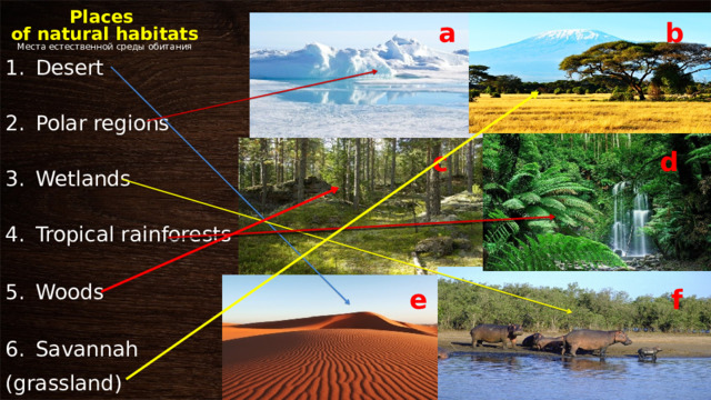 Places  of natural habitats  Места естественной среды обитан ия b a Desert Polar regions Wetlands Tropical rainforests Woods Savannah (grassland) d c f e 