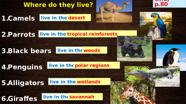 Where do they live? ex.1, p.80 desert live in the … Camels  Parrots  Black bears  Penguins  Alligators  Giraffes live in the … tropical rainforests live in the … woods polar regions live in the … wetlands live in the … savannah live in the … 