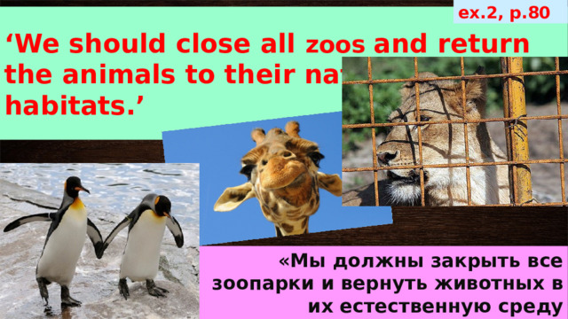 ex.2, p.80 ‘ We should close all zoos and return the animals to their natural habitats.’ «Мы должны закрыть все зоопарки и вернуть животных в их естественную среду обитания.» 