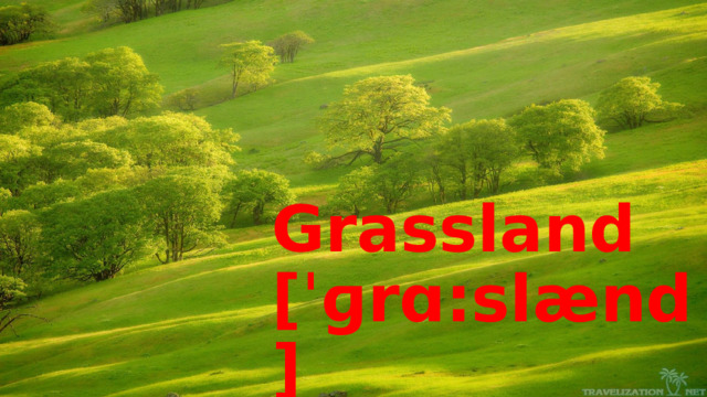 Grassland [ˈɡrɑ:slænd] луг 