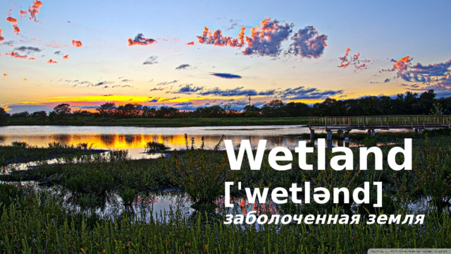 Wetland [ˈwetlənd] заболоченная земля  