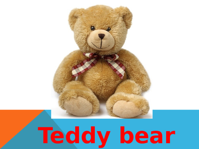 Teddy bear 