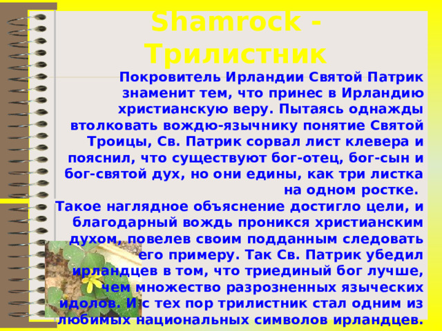 Shamrock - Трилистник Покровитель Ирландии Святой Патрик знаменит тем, что принес в Ирландию христианскую веру. Пытаясь однажды втолковать вождю-язычнику понятие Святой Троицы, Св. Патрик сорвал лист клевера и пояснил, что существуют бог-отец, бог-сын и бог-святой дух, но они едины, как три листка на одном ростке.  Такое наглядное объяснение достигло цели, и благодарный вождь проникся христианским духом, повелев своим подданным следовать его примеру. Так Св. Патрик убедил ирландцев в том, что триединый бог лучше, чем множество разрозненных языческих идолов. И с тех пор трилистник стал одним из любимых национальных символов ирландцев.   