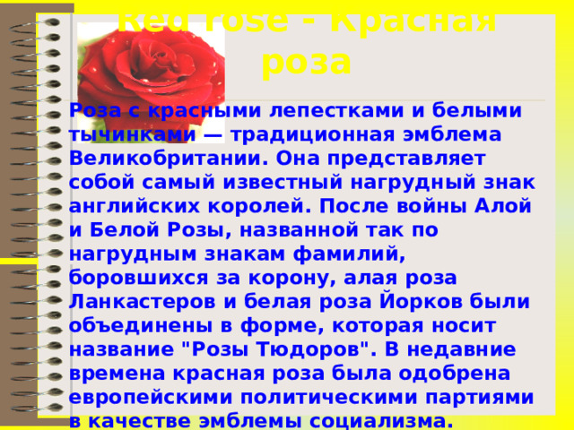 Red rose - Красная роза Роза с красными лепестками и белыми тычинками — традиционная эмблема Великобритании. Она представляет собой самый известный нагрудный знак английских королей. После войны Алой и Белой Розы, названной так по нагрудным знакам фамилий, боровшихся за корону, алая роза Ланкастеров и белая роза Йорков были объединены в форме, которая носит название 