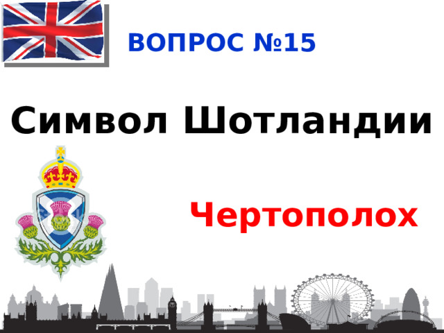 ВОПРОС №15 Символ Шотландии Чертополох 