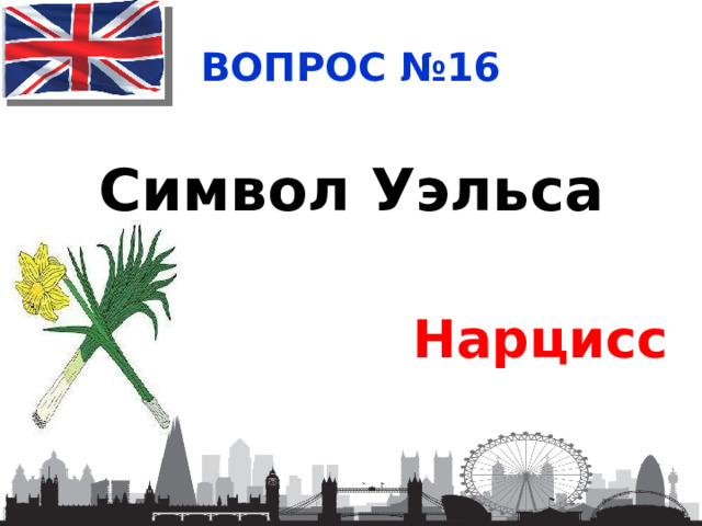 ВОПРОС №16 Символ Уэльса Нарцисс 