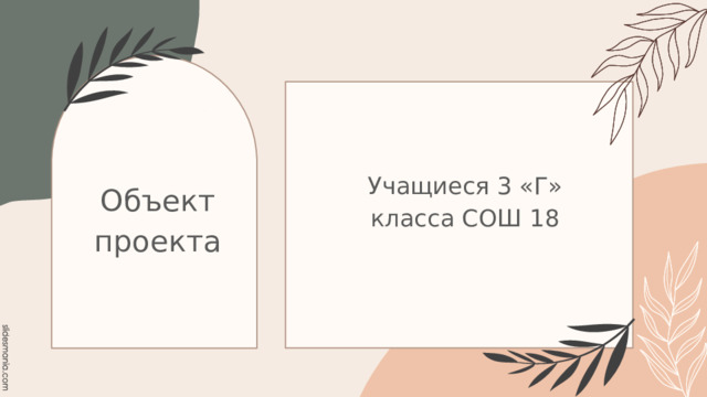 Учащиеся 3 «Г» класса СОШ 18 Объект проекта 