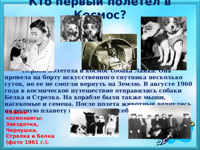  Кто первый полетел в Космос?  Первой полетела в космос собака Лайка. Она провела на борту искусственного спутника несколько суток, но ее не смогли вернуть на Землю. В августе 1960 года в космическое путешествие отправились собаки Белка и Стрелка. На корабле были также мыши, насекомые и семена. После полета животные вернулись на родную планету и чувствовали себя прекрасно. Собаки-космонавты: Звездочка, Чернушка, Стрелка и Белка (фото 1961 г.).  