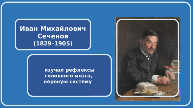    Иван Михайлович Сеченов (1829–1905)  изучал рефлексы головного мозга, нервную систему 