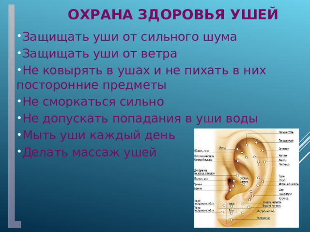 Охрана здоровья ушей Защищать уши от сильного шума Защищать уши от ветра Не ковырять в ушах и не пихать в них посторонние предметы Не сморкаться сильно Не допускать попадания в уши воды Мыть уши каждый день Делать массаж ушей 
