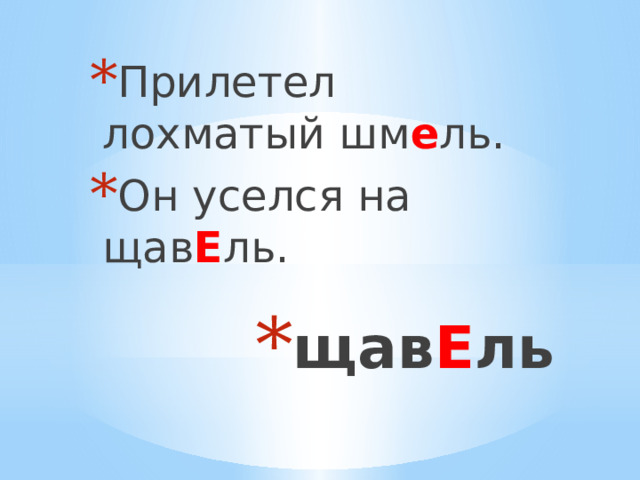 Прилетел лохматый шм е ль. Он уселся на щав Е ль. щав Е ль 