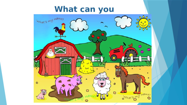 What can you see? 