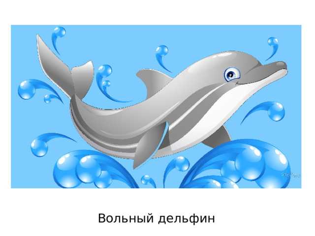 Вольный дельфин 