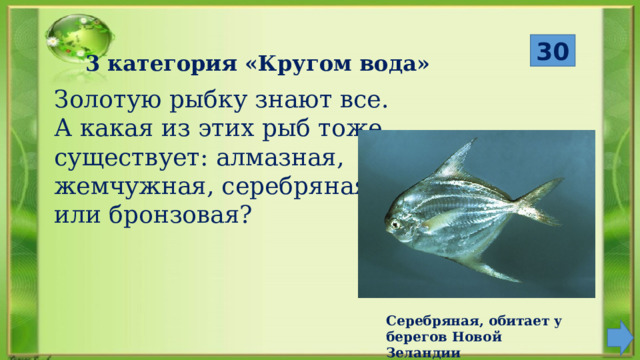  30 3 категория «Кругом вода» Золотую рыбку знают все. А какая из этих рыб тоже существует: алмазная, жемчужная, серебряная или бронзовая? Серебряная, обитает у берегов Новой Зеландии 