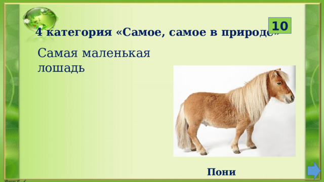  10 4 категория «Самое, самое в природе» Самая маленькая лошадь  Пони 