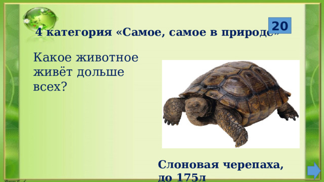  20 4 категория «Самое, самое в природе» Какое животное живёт дольше всех? Слоновая черепаха, до 175л 