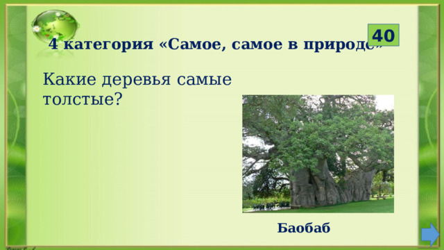  40 4 категория «Самое, самое в природе» Какие деревья самые толстые? Баобаб 