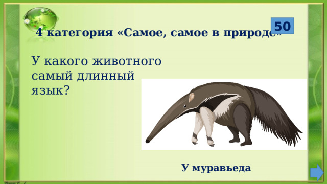  50 4 категория «Самое, самое в природе» У какого животного самый длинный язык? У муравьеда 
